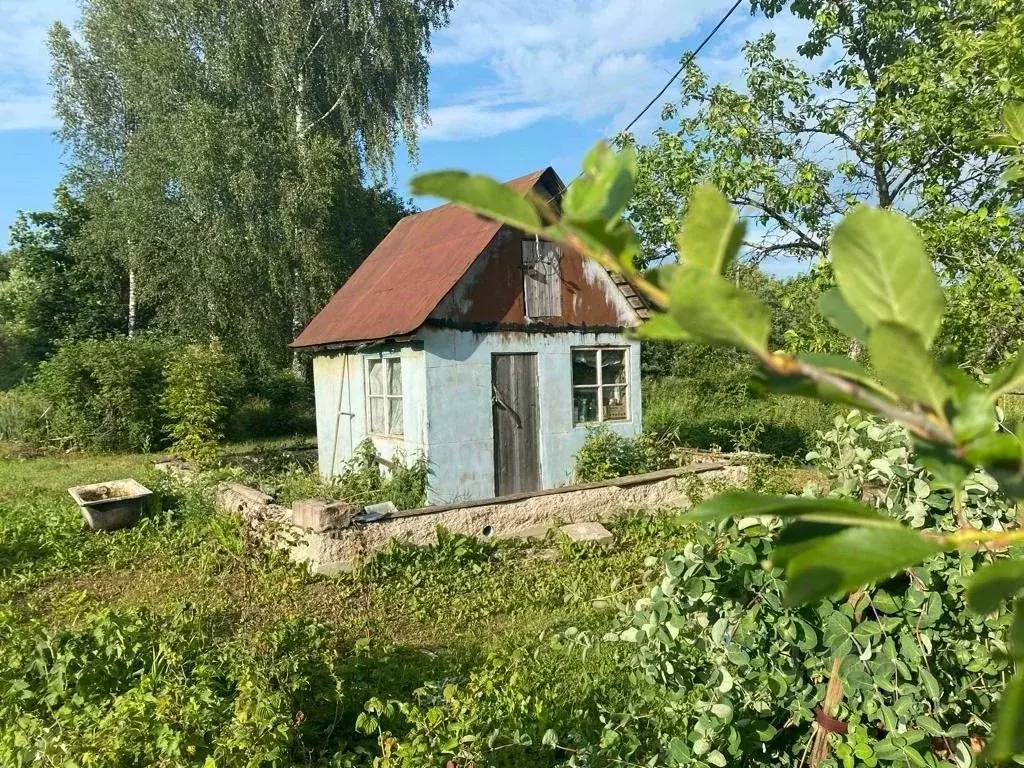 Участок в Ленинградская область, Лужский район, Володарское с/пос, ... - Фото 0