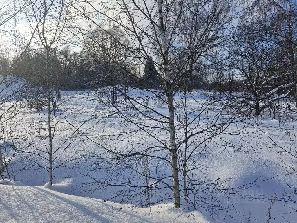 Участок в Московская область, Ступино городской округ, д. ... - Фото 0