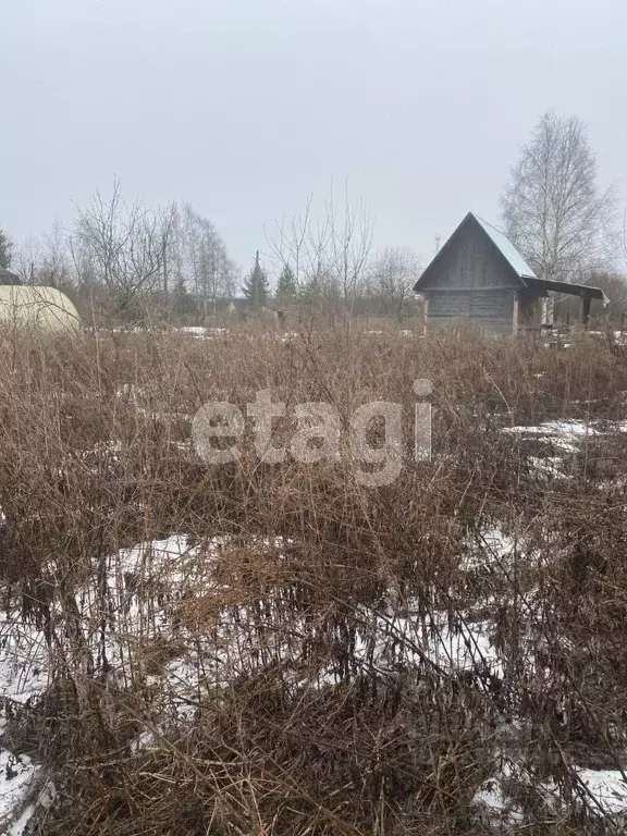 Участок в Вологодская область, Облепиха садоводческое товарищество  ... - Фото 0