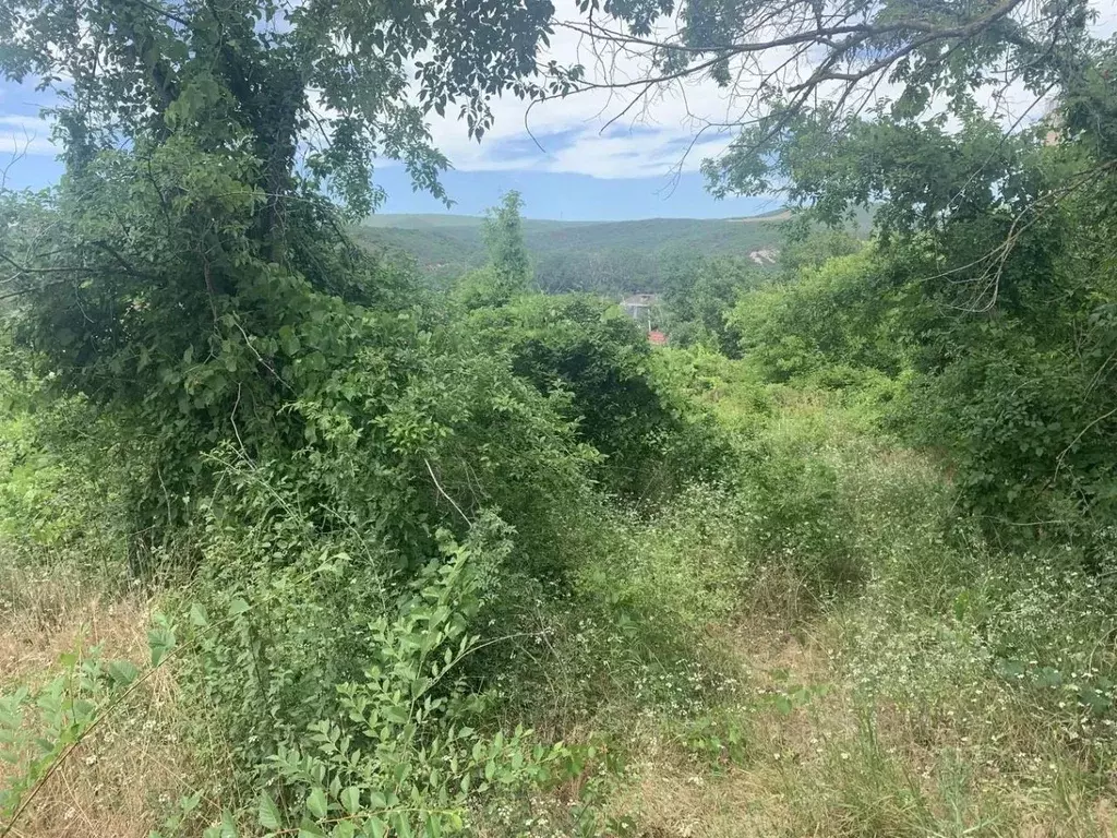 Участок в Краснодарский край, Анапа муниципальный округ, с. Сукко ул. ... - Фото 2