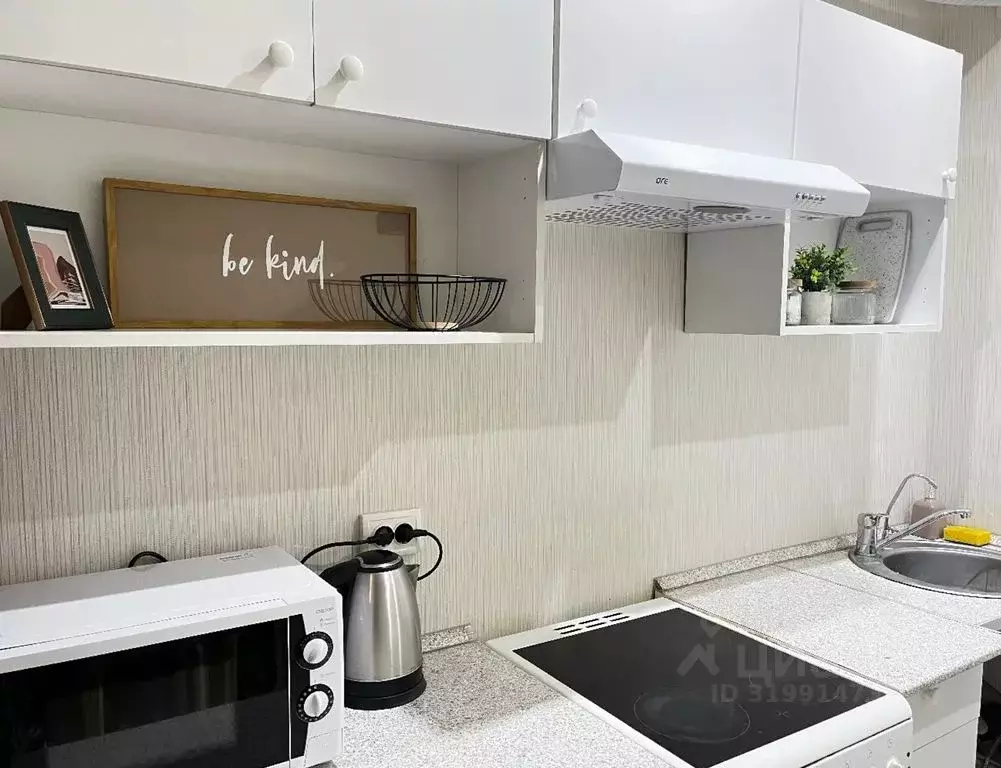 Студия Московская область, Ленинский городской округ, Лопатино пгт ул. ... - Фото 2