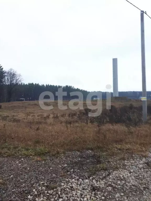 Участок в Брянская область, Брянский район, Новодарковичское с/пос, д. ... - Фото 1