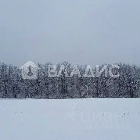Участок в Ленинградская область, Гатчинский район, д. Таровицы ул. ... - Фото 0
