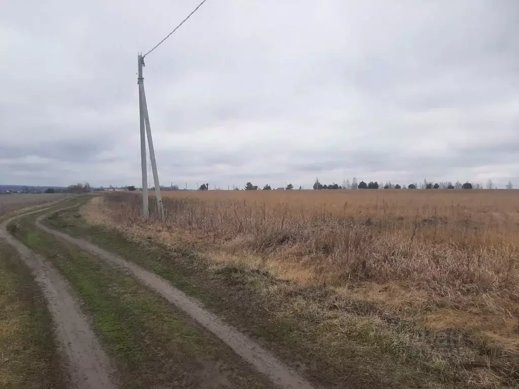 Участок в Московская область, Луховицы  (4.0 сот.) - Фото 1