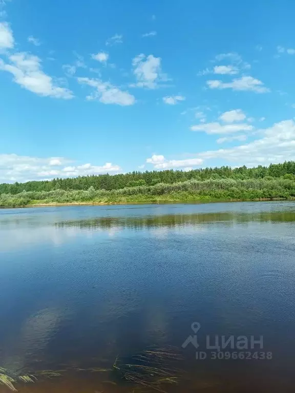 Участок в Нижегородская область, Варнавино рп  (19.0 сот.) - Фото 0