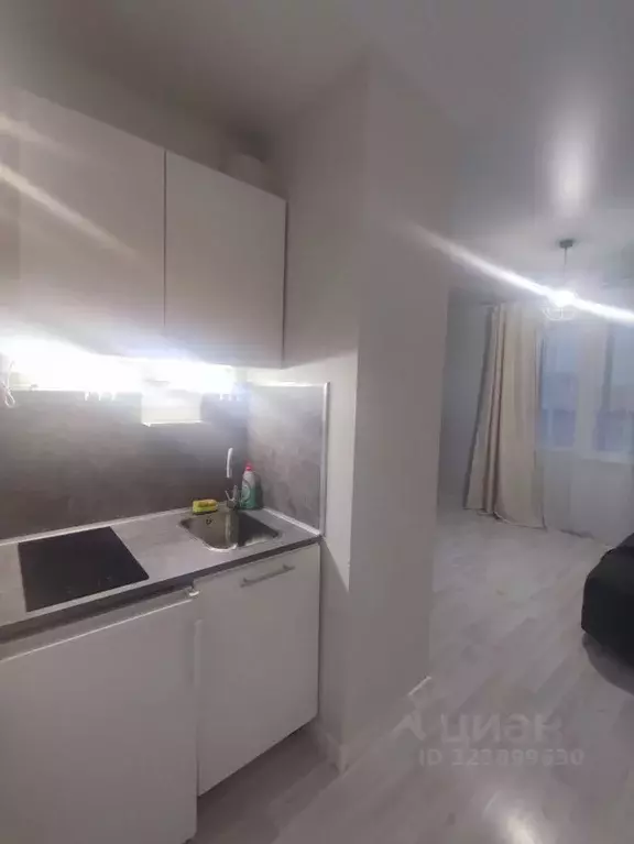 Студия Санкт-Петербург ул. Вадима Шефнера, 14к1 (23.5 м) - Фото 2