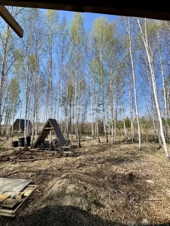Дом в Тюменская область, Нижнетавдинский муниципальный округ, ... - Фото 2