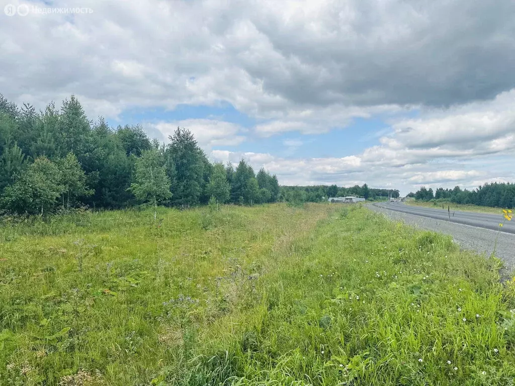 Участок в Свердловская область, посёлок городского типа Белоярский (25 ... - Фото 0