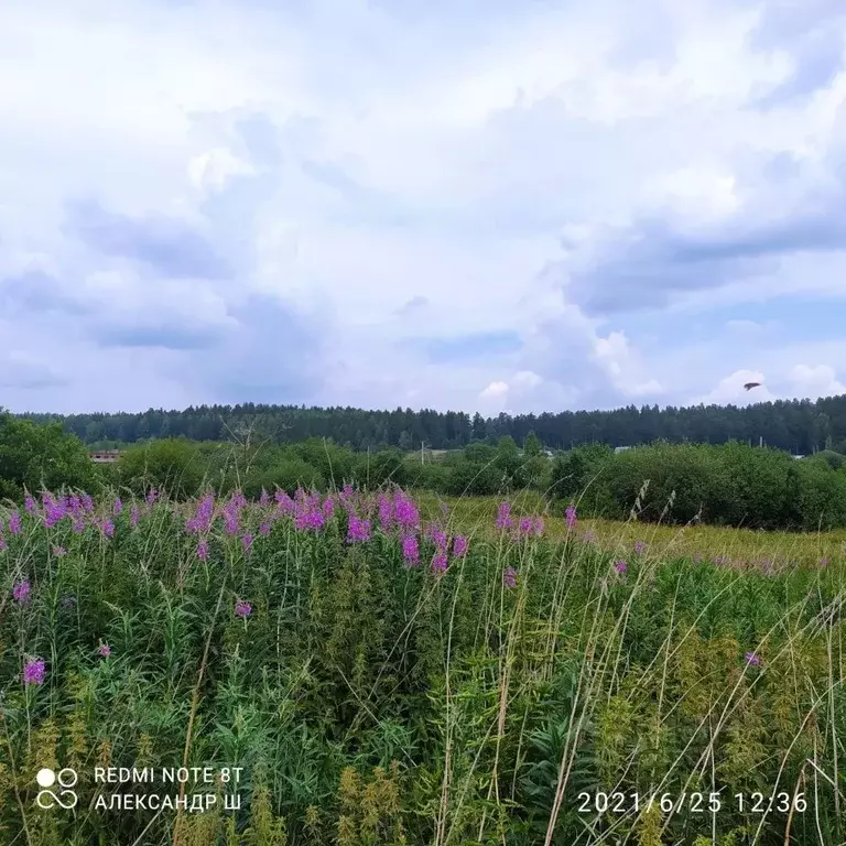 Участок в Свердловская область, Дегтярск ул. Российская, 29 (15.0 ... - Фото 1