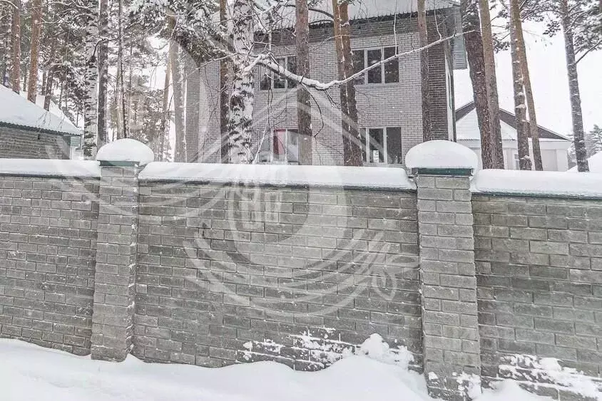 Дом в Алтайский край, Барнаул туп. 1-й Вешний, 28 (551 м) - Фото 0