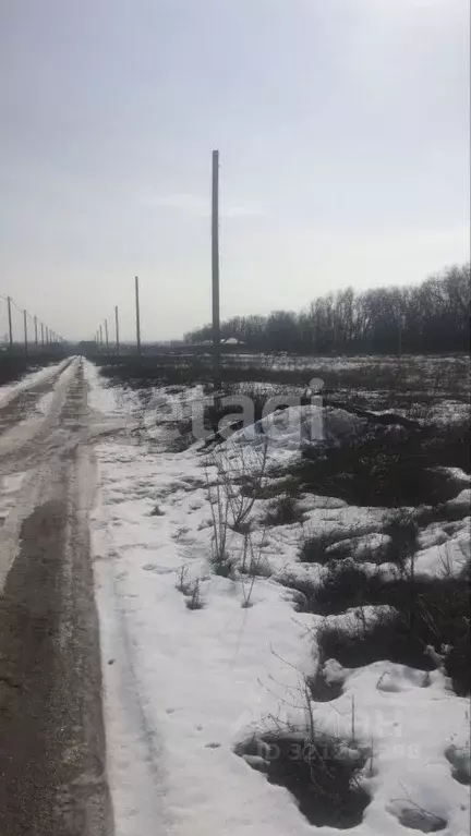 Участок в Ростовская область, Мясниковский район, Краснокрымское ... - Фото 0