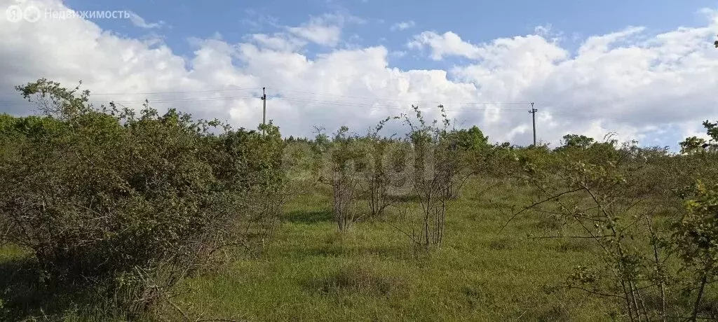 Участок в Тенистое, улица Алиме Абденнановой (10 м) - Фото 2