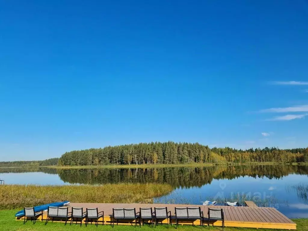 Комната Новгородская область, Валдайский район, Едровское с/пос, д. ... - Фото 0