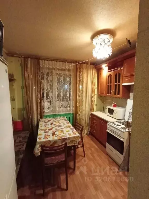 1-к кв. Ленинградская область, Выборгский район, Красносельское с/пос, ... - Фото 1