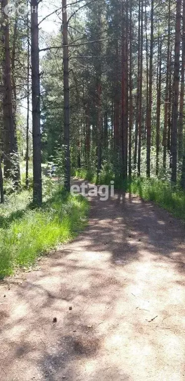 Участок в городской посёлок Мга, Донецкая улица (10.4 м) - Фото 1