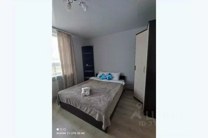 1-к кв. Нижегородская область, Нижний Новгород просп. Гагарина, 101к1 ... - Фото 1