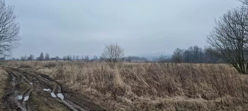 Участок в Тульская область, Тула городской округ, д. Прудное  (1801.0 ... - Фото 1