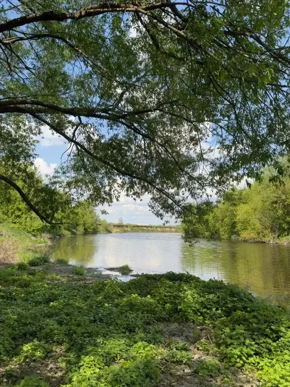 Участок в Московская область, Подольск городской округ, д. Макарово  ... - Фото 2