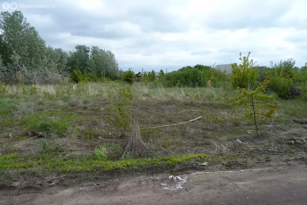 Участок в Воронежская область, село Новая Усмань (12 м) - Фото 1