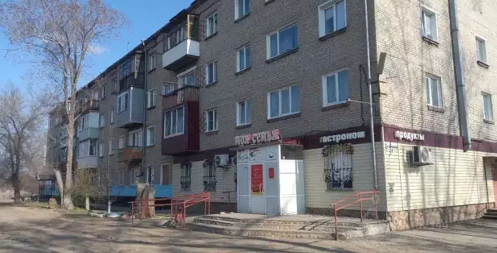 2-к кв. Алтайский край, Рубцовск ул. Брусилова, 8Б (40.5 м) - Фото 1