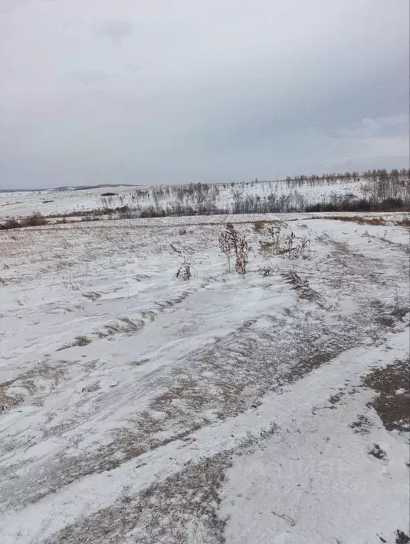 Участок в Красноярский край, Красноярск городской округ, Березовка ... - Фото 2