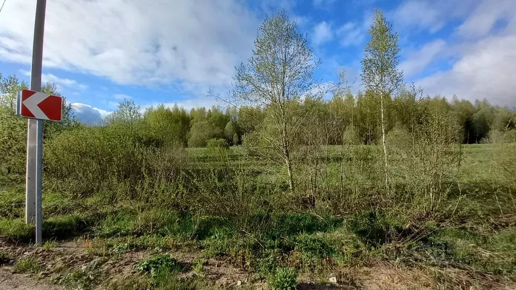 Участок в Новгородская область, Демянский муниципальный округ, д. ... - Фото 1