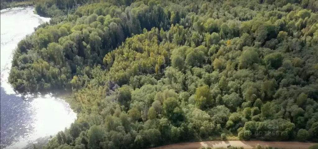 Участок в Тверская область, Осташковский городской округ, д. Свапуще  ... - Фото 1