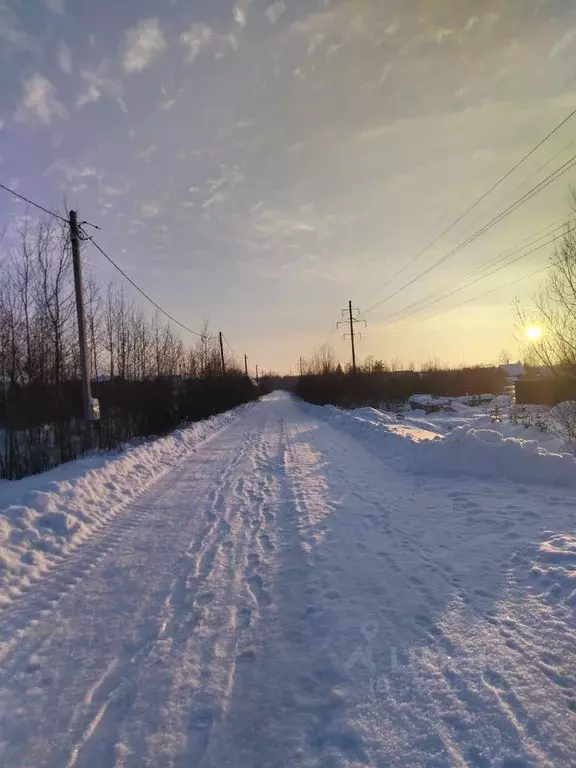 Участок в Новгородская область, Новгородский район, Ермолинское с/пос, ... - Фото 1