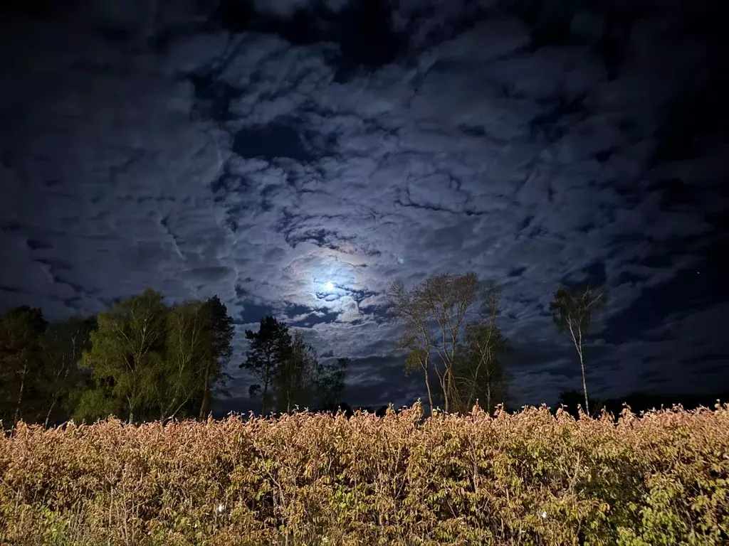 Участок в Тульская область, Заокский район, Малаховское с/пос, Нова ... - Фото 1