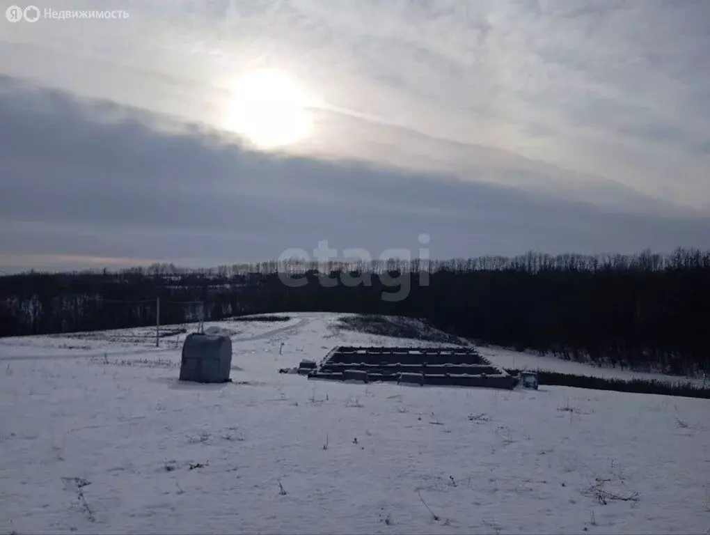 Участок в село Стрелецкое, микрорайон Стрелецкое-72 (19 м) - Фото 2