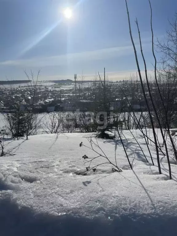 Участок в Татарстан, Альметьевск Урсала мкр, ул. Лесная (12.0 сот.) - Фото 1