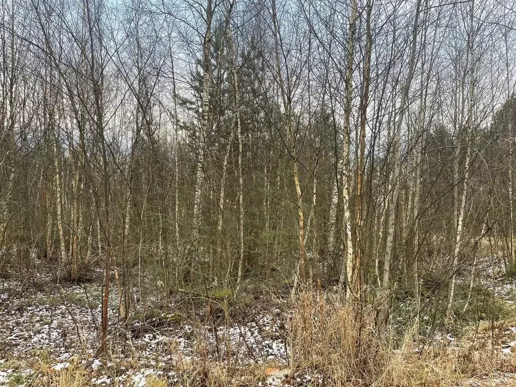 Участок в Московская область, Павлово-Посадский городской округ, д. ... - Фото 1