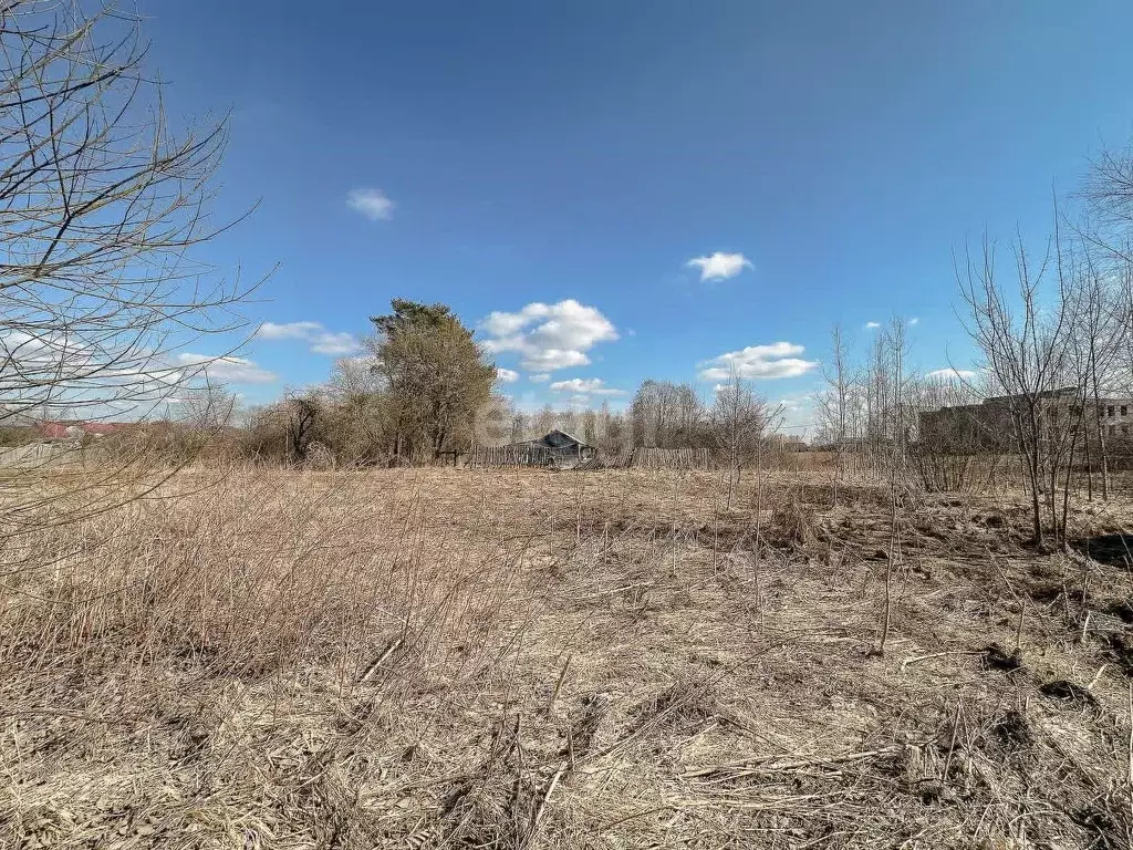 Участок в Ярославская область, Гаврилов-Ямский муниципальный округ, д. ... - Фото 1