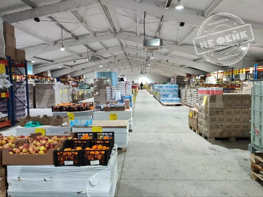 Помещение свободного назначения в Ростовская область, Ростов-на-Дону ... - Фото 1