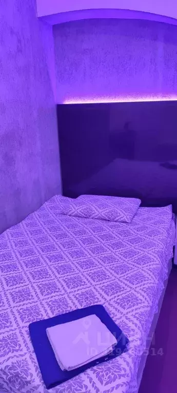 Комната Санкт-Петербург ул. Рубинштейна, 27 (16.0 м) - Фото 1