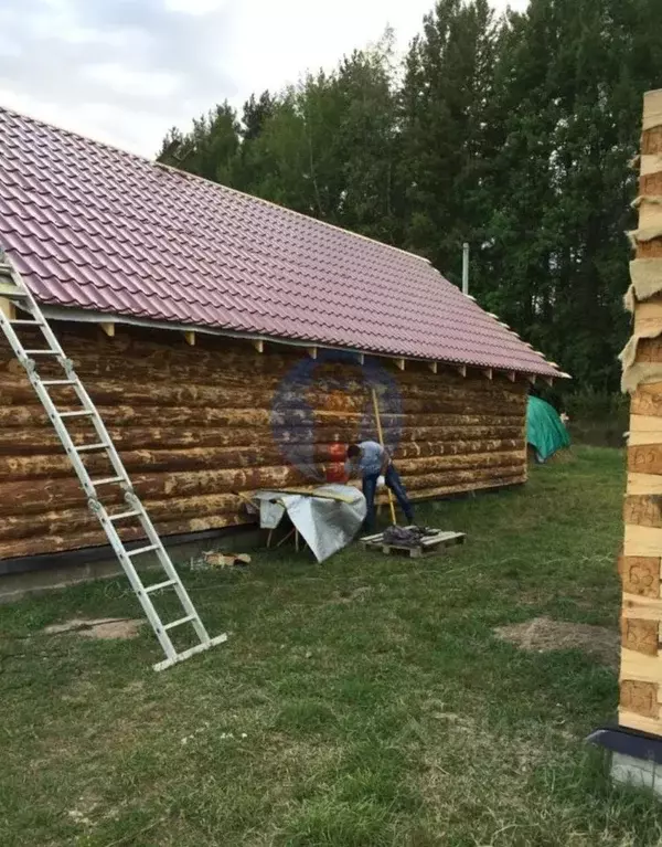 Участок в Ленинградская область, Приозерский район, Красноозерное ... - Фото 0