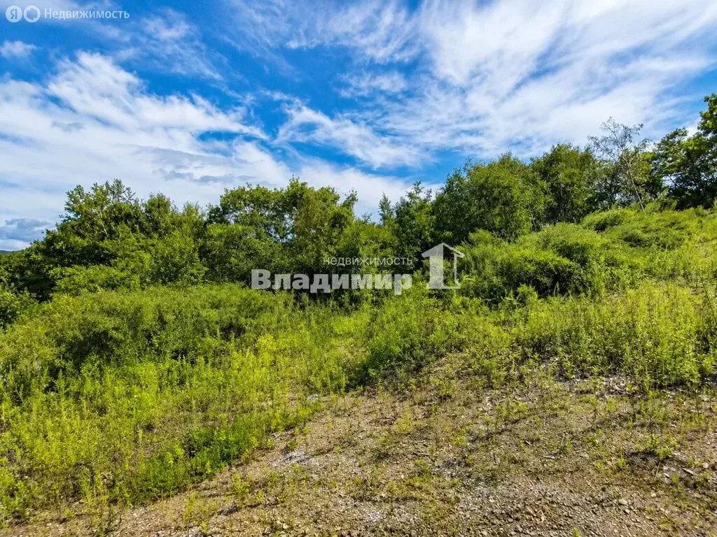 Участок в село Владимиро-Александровское, Таёжная улица, 29 (20 м) - Фото 1