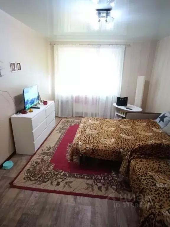 Комната Калининградская область, Калининград Красная ул., 59 (30.0 м) - Фото 1