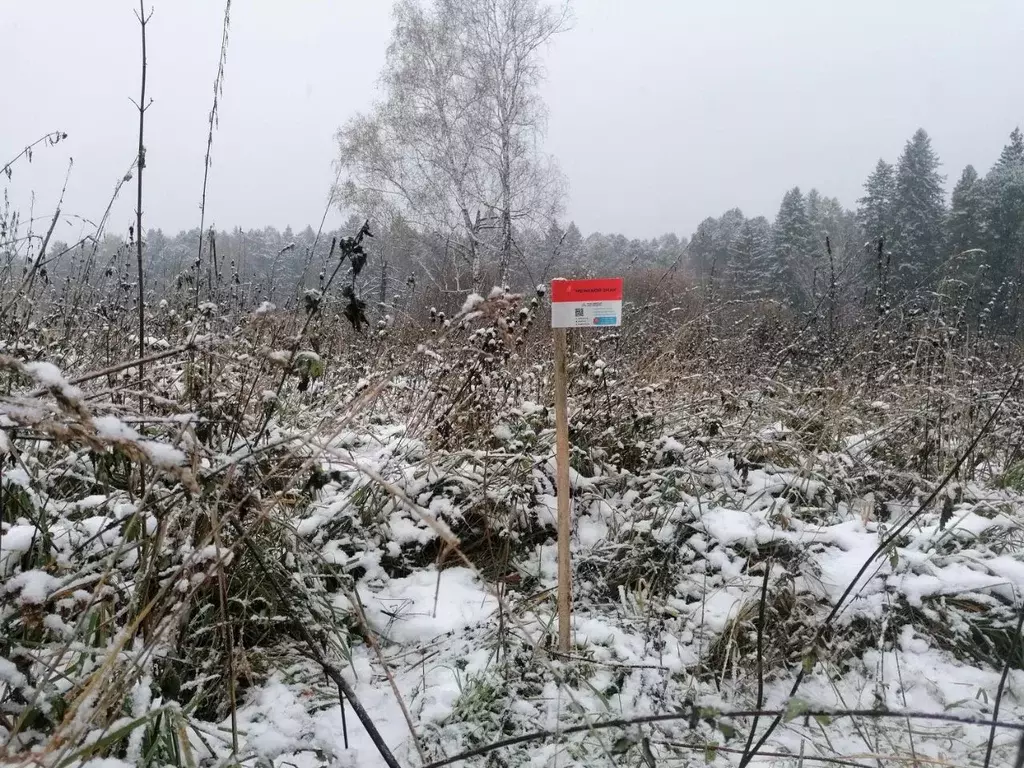Участок в Томская область, Томский район, Богашевское с/пос, д. ... - Фото 1
