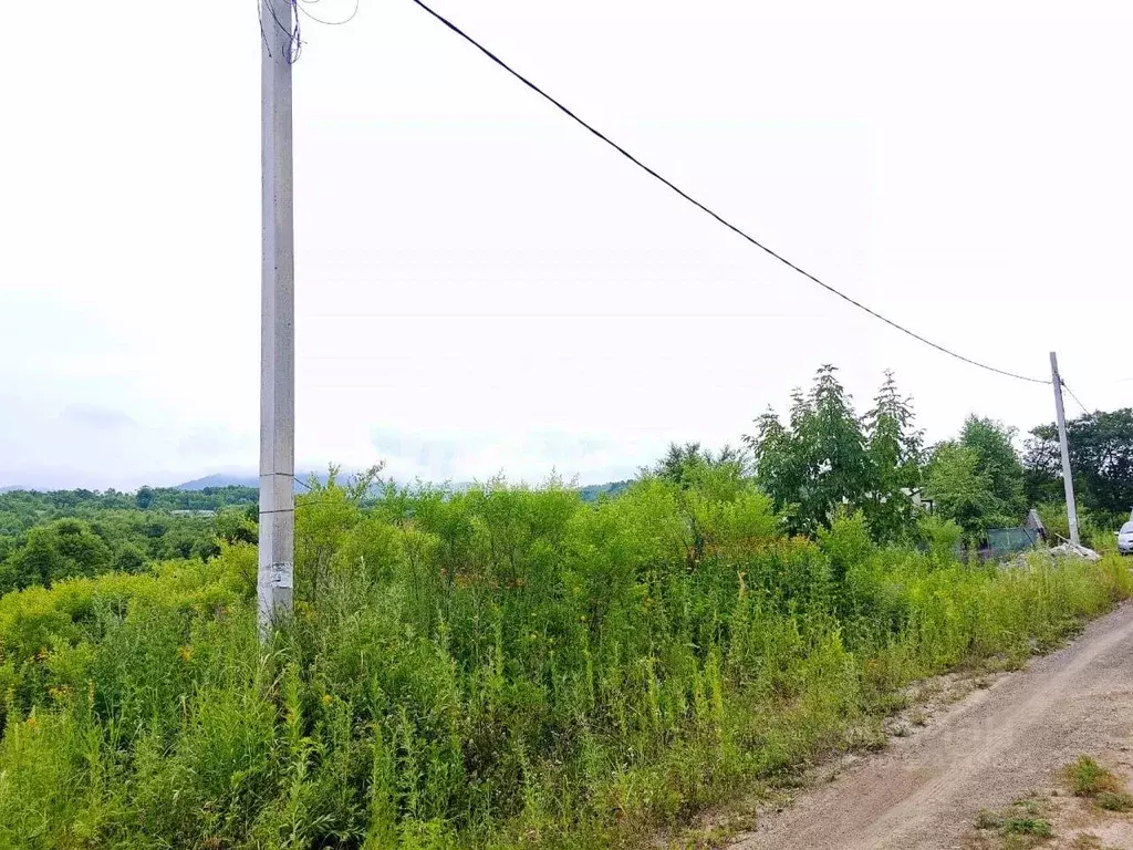 Участок в Приморский край, Артем Березка-3 СТ, 49 (10.0 сот.) - Фото 1