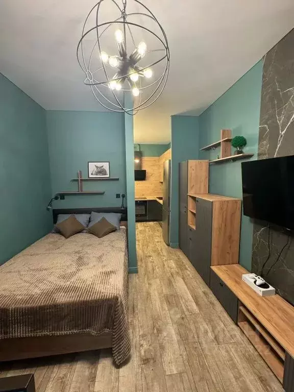 Студия Краснодарский край, Сочи городской округ, Дагомыс пгт ш. ... - Фото 0