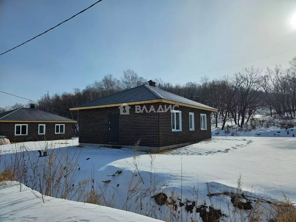 Дом в Амурская область, Благовещенский район, с. Чигири ул. Мира (70 ... - Фото 1