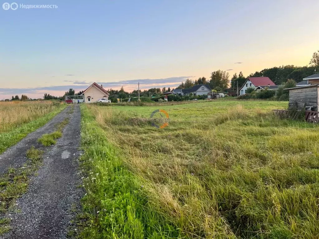 Участок в Новгородский муниципальный округ, Трубичинское сельское ... - Фото 1