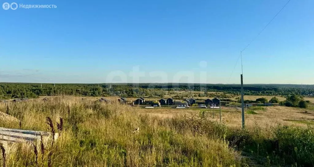 Участок в Ярославский муниципальный округ, деревня Карабиха (10 м) - Фото 1