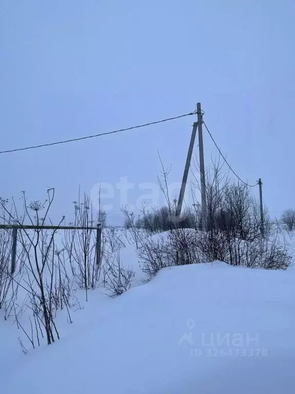 Участок в Пермский край, Пермский муниципальный округ, д. Шугуровка, ... - Фото 2