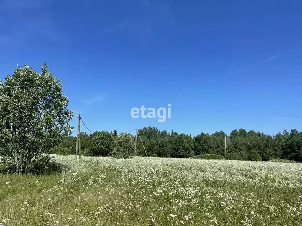 Участок в Ленинградская область, Гатчинский район, д. Ляды 34 (7.5 ... - Фото 0