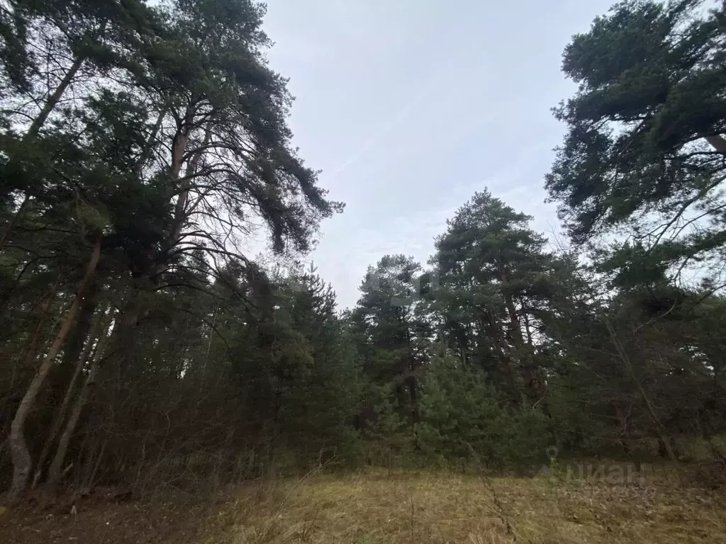 Участок в Тверская область, Тверь пос. Черкассы, ул. Дорожников, 9 ... - Фото 2
