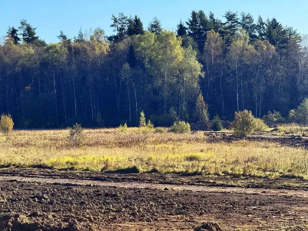 Участок в Московская область, Дмитровский муниципальный округ, Ерыково ... - Фото 0