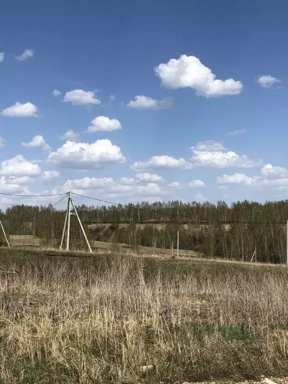 Участок в Нижегородская область, Нижний Новгород с. Безводное, ул. ... - Фото 1