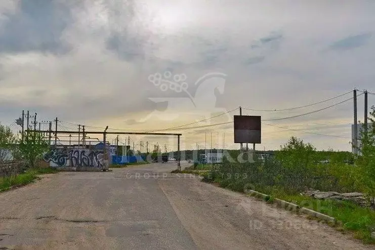 Участок в Московская область, Чехов муниципальный округ, д. ... - Фото 1